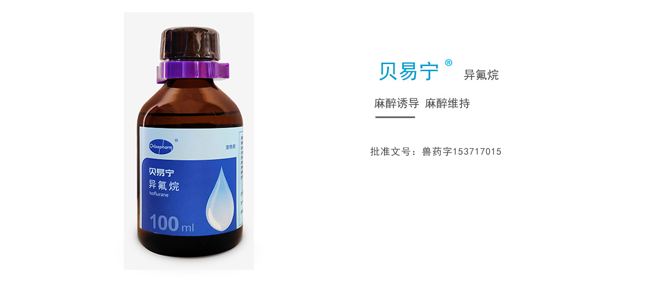 贝易宁