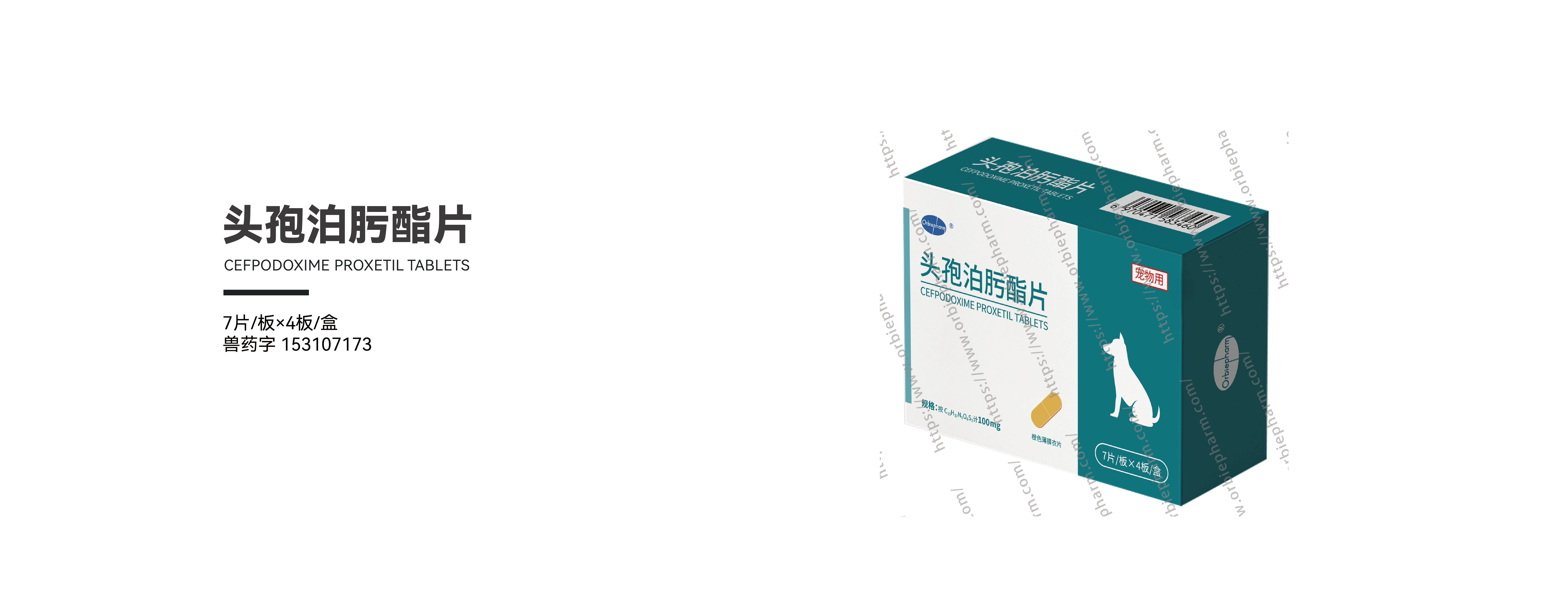 aab556b28a5d06fb5117981997ad492e.png