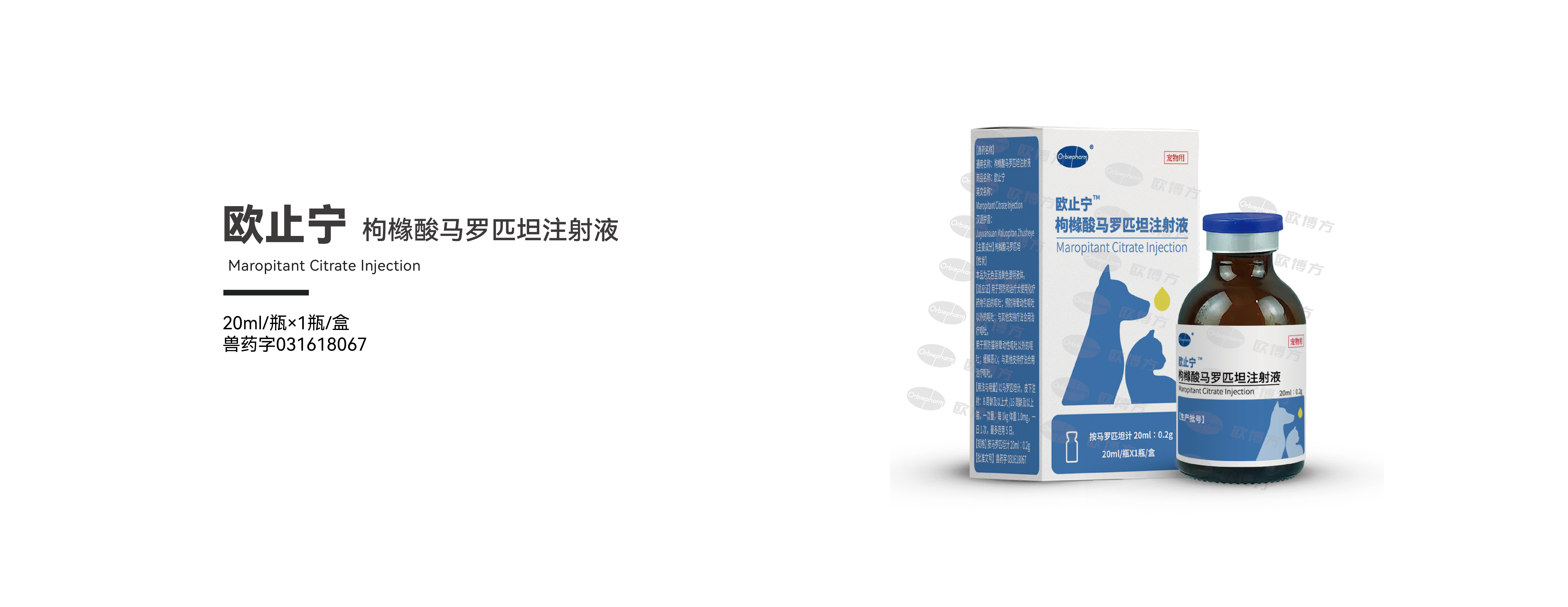 欧止宁.png