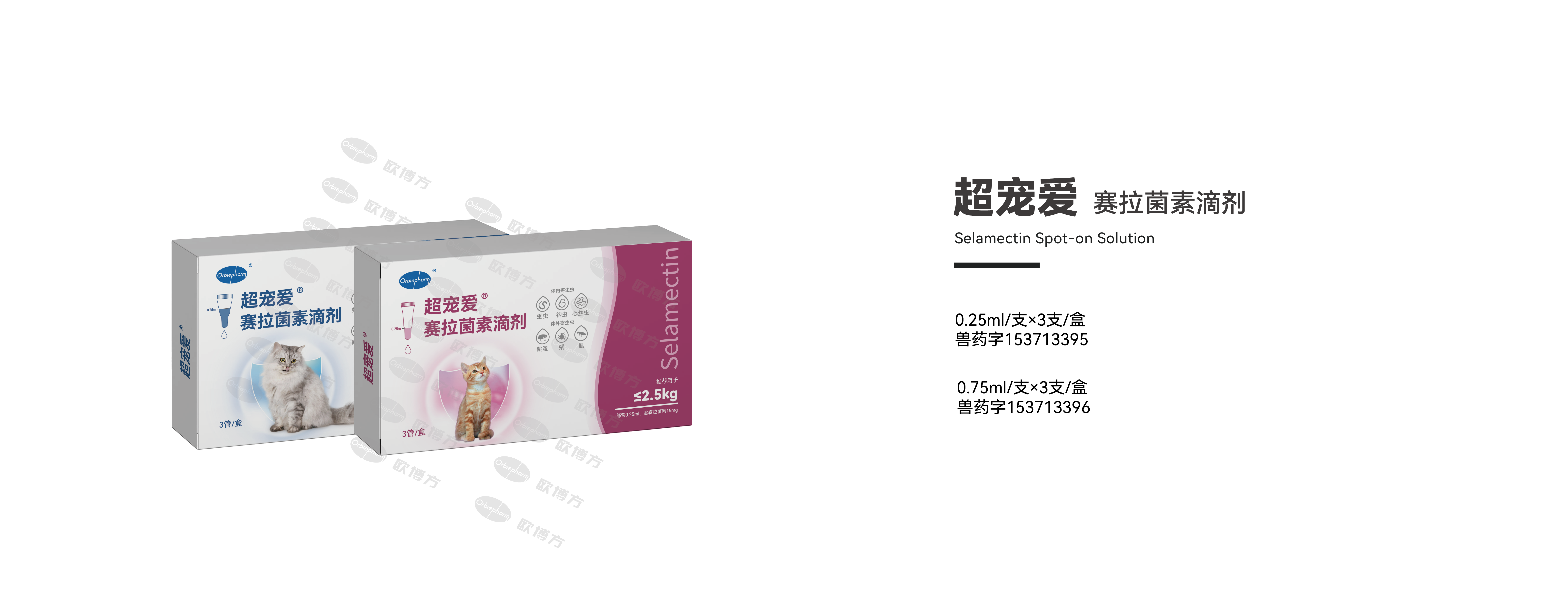 超宠爱